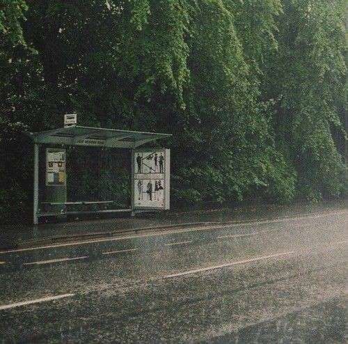 A bus stop on an empty road with trees in the background.  Its raining pretty hard. Vibe:  going somewhere but getting wet. 